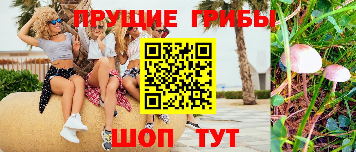Псилоцибиновые грибы GOLDEN TEACHER Южноуральск
