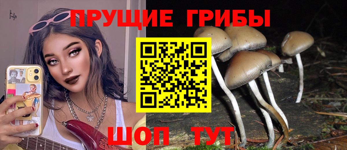 Галлюциногенные грибы Psilocybe  Вход с VPN  Южноуральск 